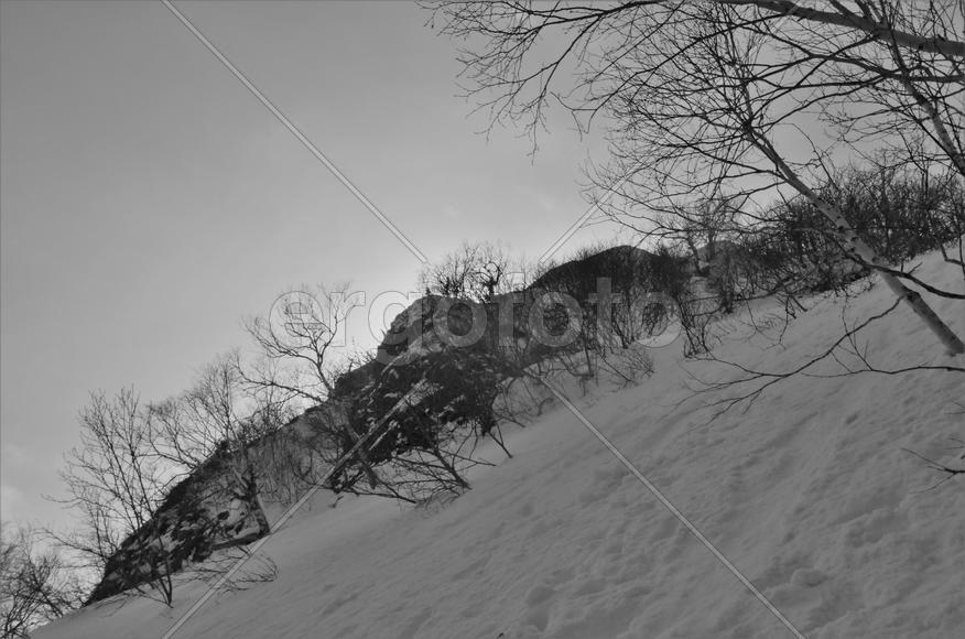 Зимний пейзаж