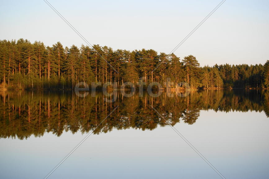 Отражение в воде