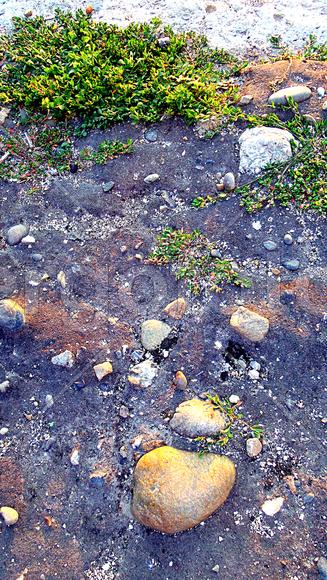 Асфальт камни трава