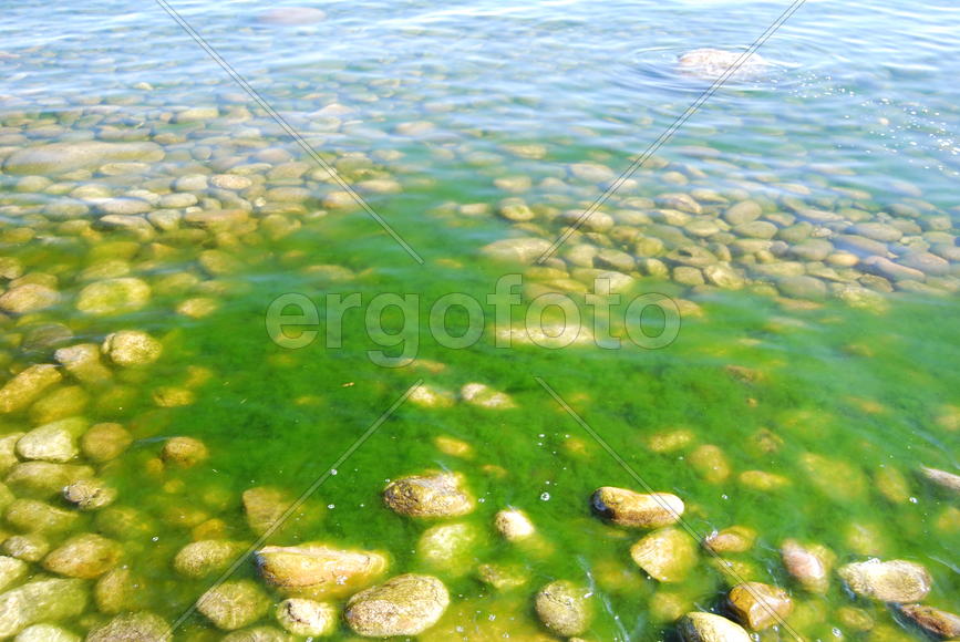 Прибрежные камни