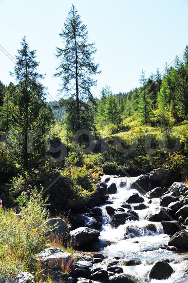 Горная река 