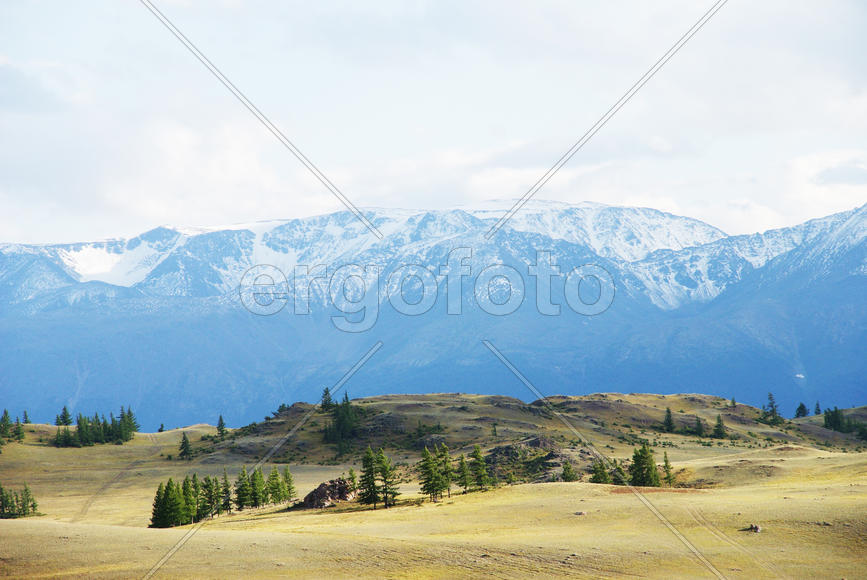 Предгорье с видом на горы