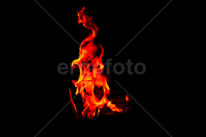 Костер в ночном лесу