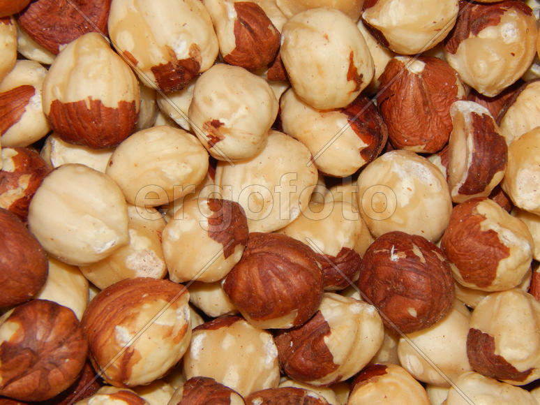 Орехи фундук крупным планом