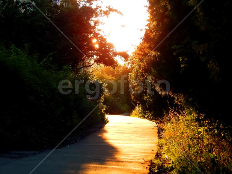 Парк на закате солнца