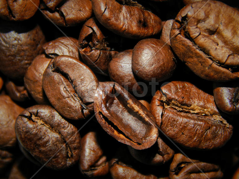 Кофе в зернах крупным планом