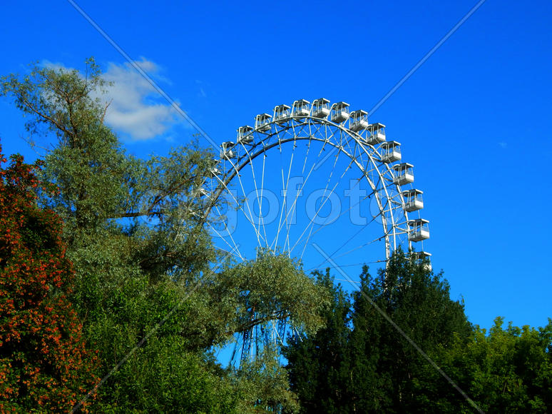 Россия. Москва. Колесо обозрения на ВДНХ