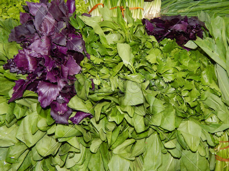 Свежая зелень на столе