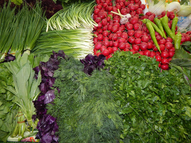 Свежая зелень на столе