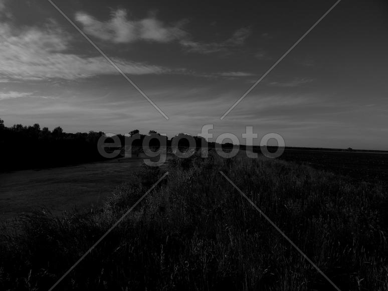 Bending river with banks on a black and white photo