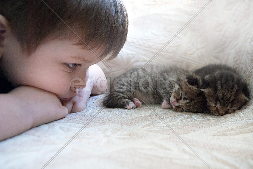 Мальчик с котятами