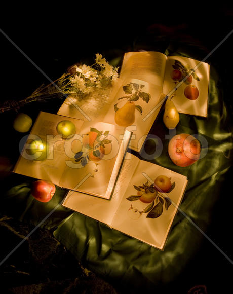 Photos for the calendar "History of Russia"