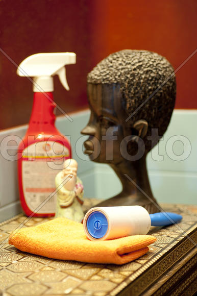 Cleaners in the interior