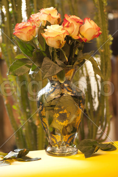 Roses in a glass vase