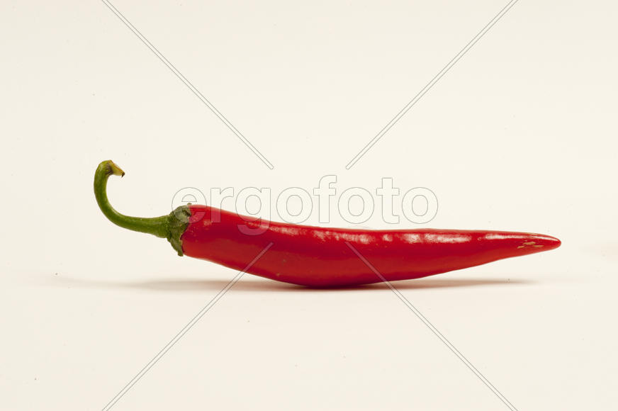 Chilli