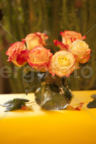 Roses in a glass vase