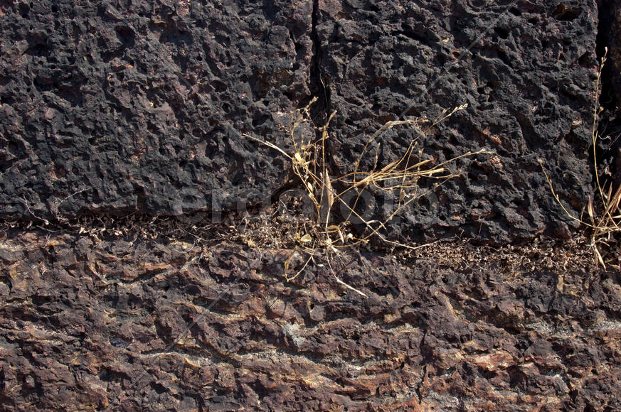 The texture of the stone wall of the old Portuguese fort