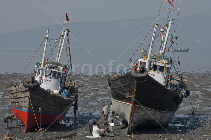 Fishermen painted barges on Elephant Island