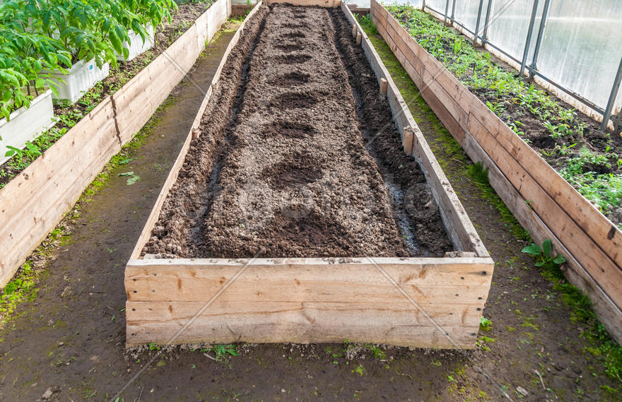 Парник перед посадкой рассады