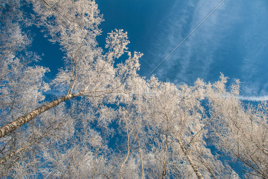 Зимний пейзаж
