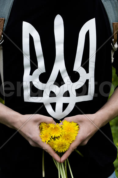 Букет желтых одуванчиков