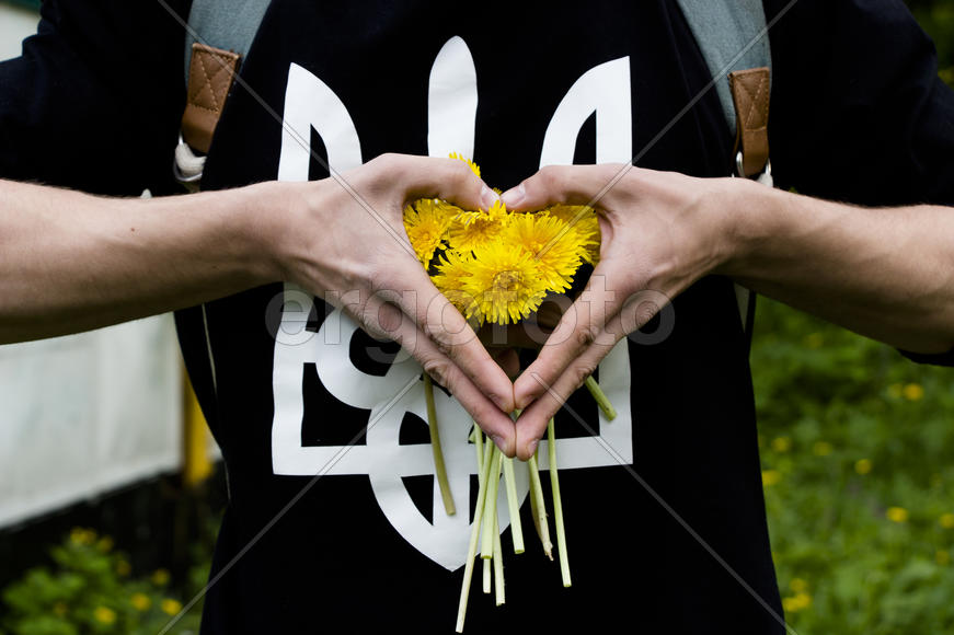 Букет желтых одуванчиков