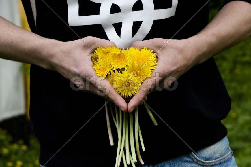 Букет желтых одуванчиков