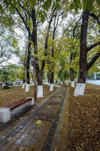 Дождливый осенний день