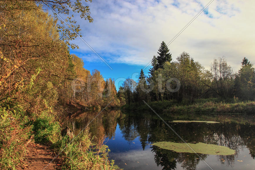 Осень на берегу тихой речки