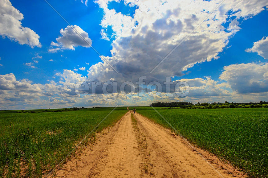 Путник идет по дороге в поле
