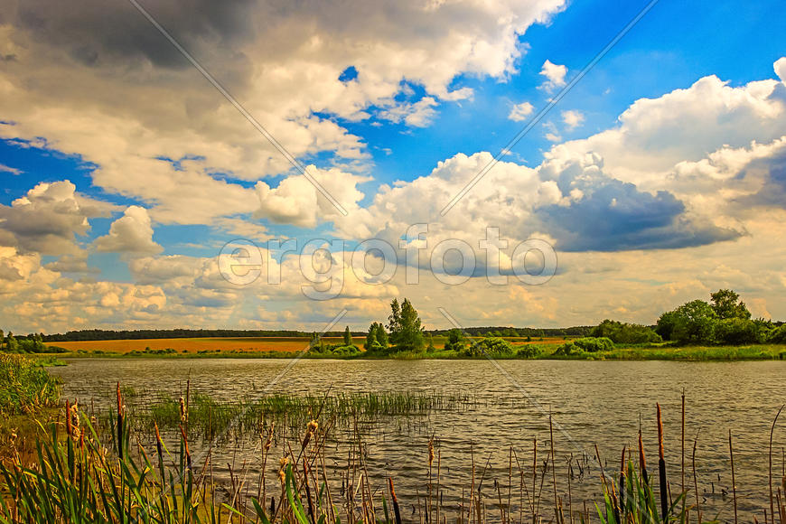 Загородный пейзаж летом