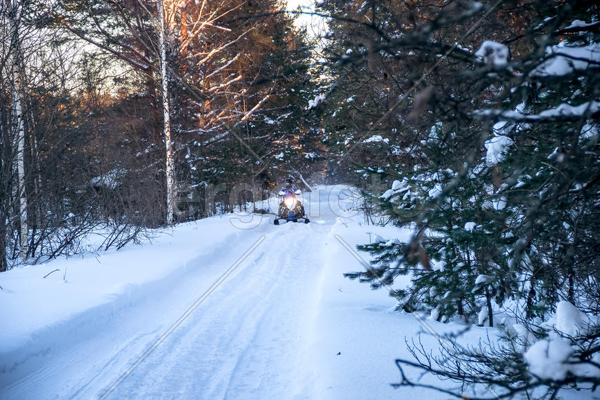Поездка на снегоходе в зимнем лесу.