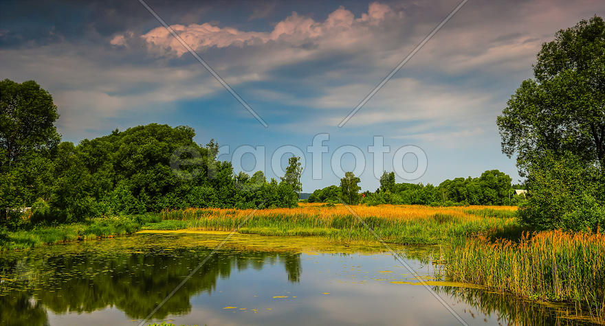Река Симка в окружении деревьев