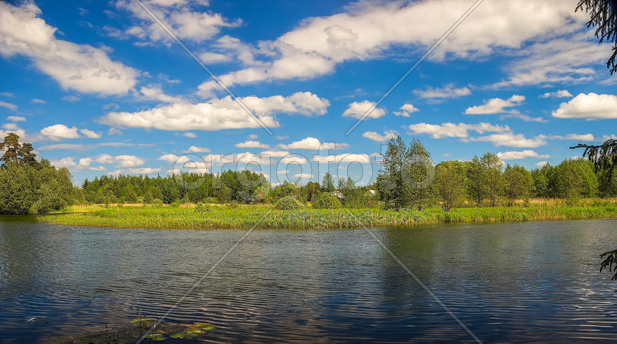 Лесное озеро 