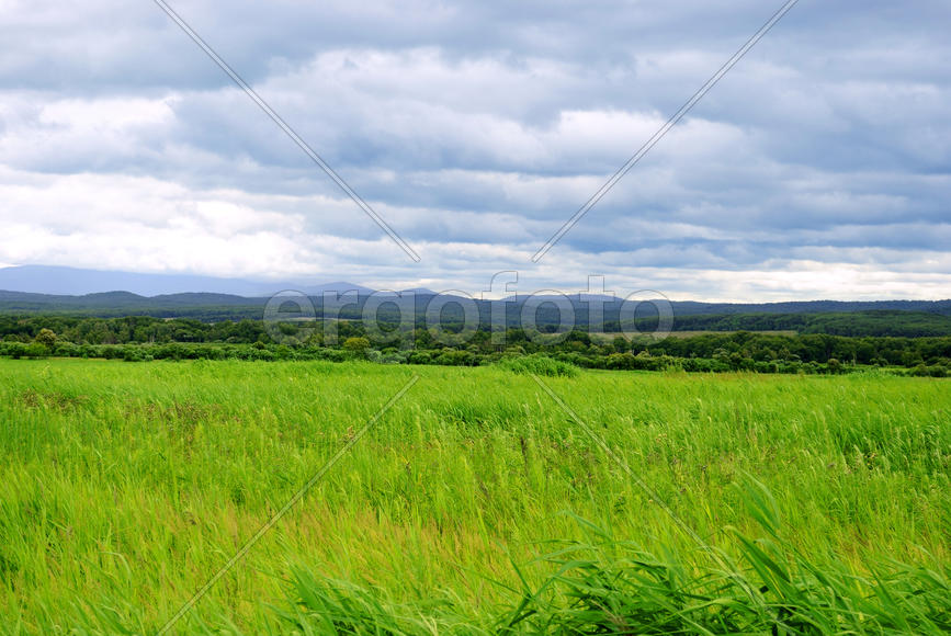 Cloudy Sky And Grass