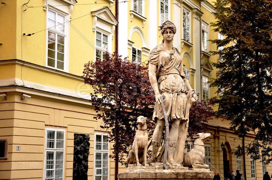 The area the Market. An architectural ensemble of the main floor space of Lvov