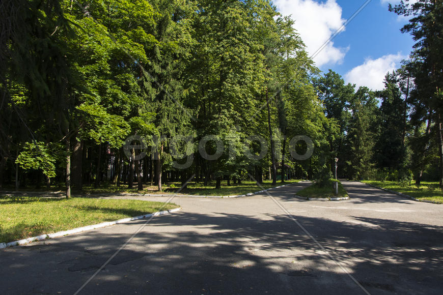 The nature and structure of the sanatorium in the city of Lviv