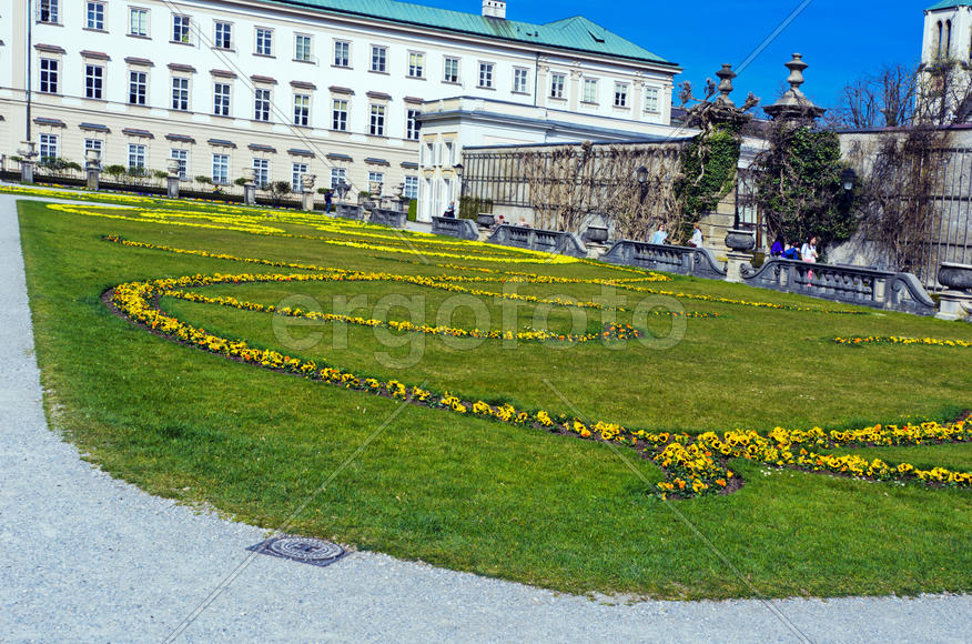 The lawn in the park. The beds of ornamental flowers