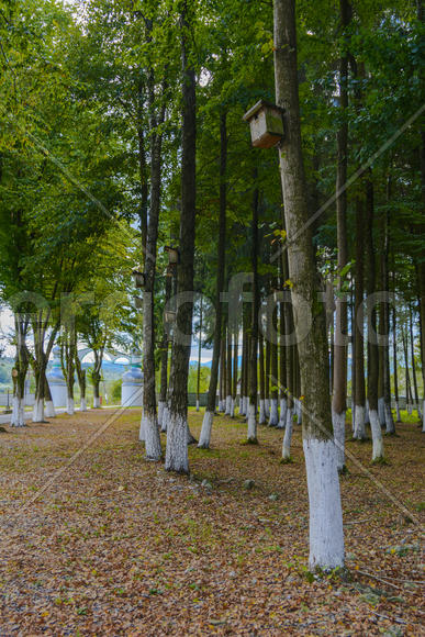 Аллея сад и забор возле деревенской церкви