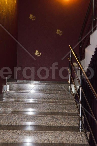 Ladder in a private home. It is not only necessary, but also the beauty, attractiveness