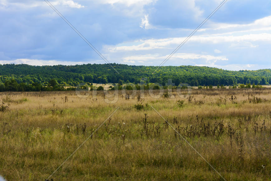 Пейзаж полей и гор в Западной Украине