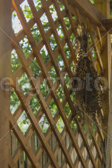 The design of the courtyard of a private house