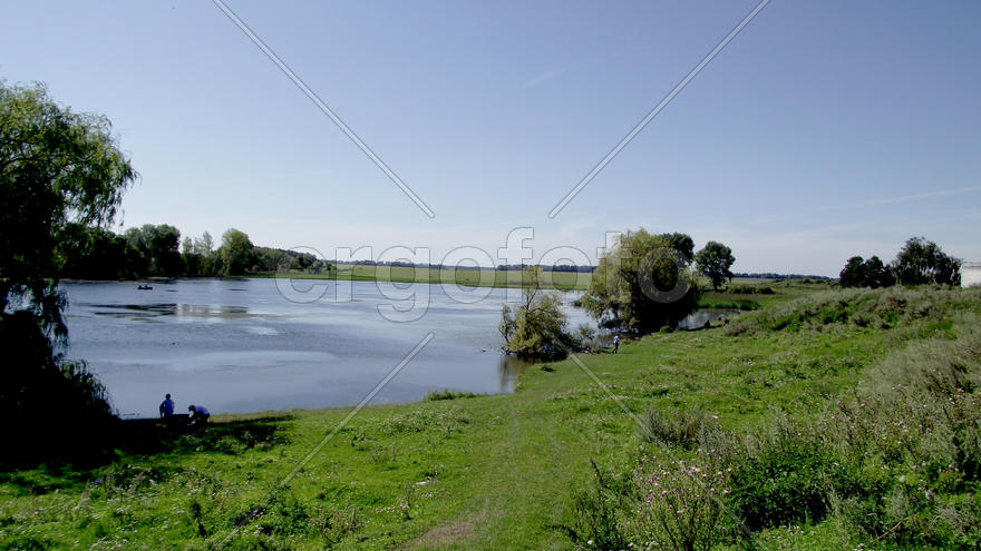 The magnificent nature and fishing in Zhitomir, Ukraine. Family rest. Beautiful kinds. A carp