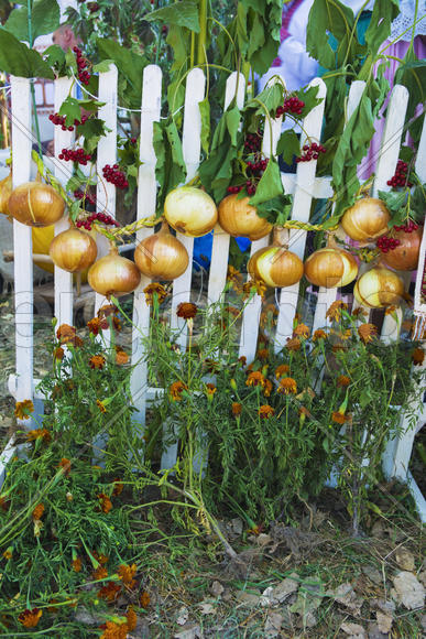 Skilled handicrafts. Fruits and vegetables at the fair