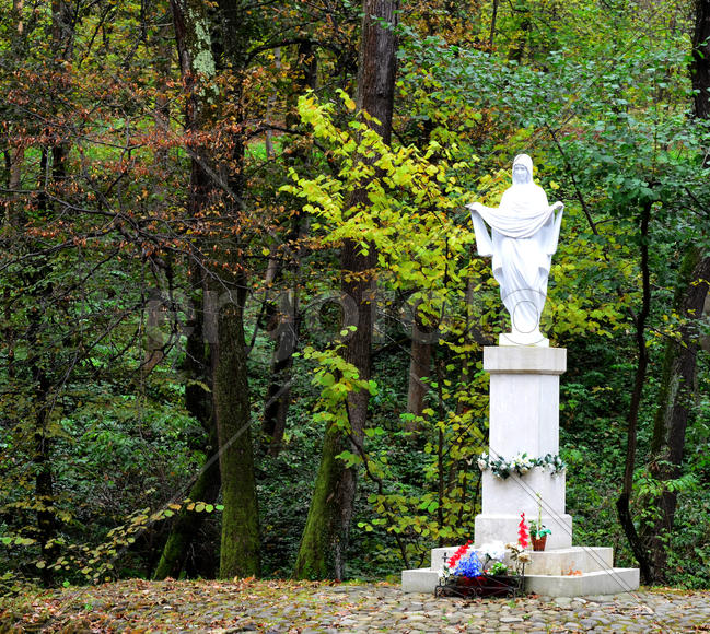 The centre of a resort zone is Central бювет mineral waters. From it the avenues conducting through 