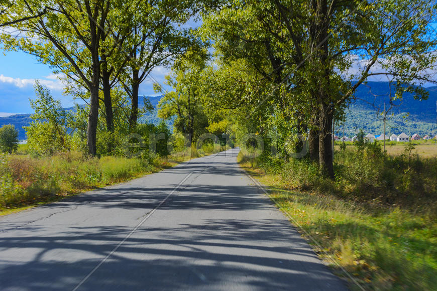 Горная дорога. Ландшафт поля и гор