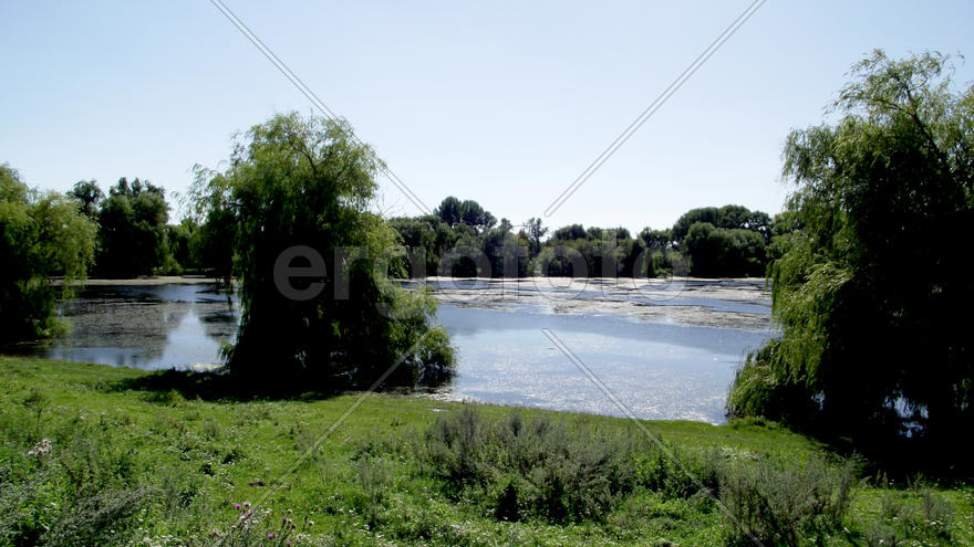 The magnificent nature and fishing in Zhitomir, Ukraine. Family rest. Beautiful kinds. A carp
