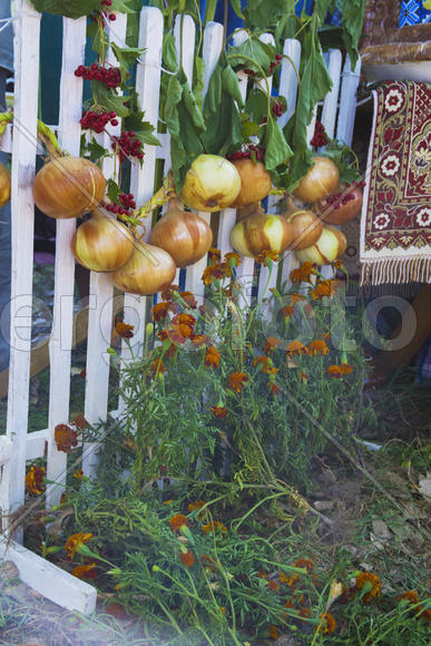 Skilled handicrafts. Fruits and vegetables at the fair
