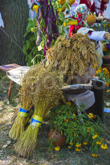 Skilled handicrafts. Fruits and vegetables at the fair
