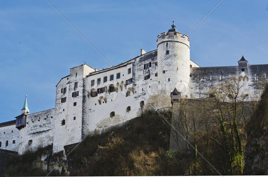 Historical Museums. Establishments engaged in the collection, storage, study and popularization